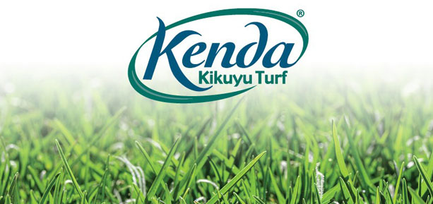 Kenda kikuyu turf