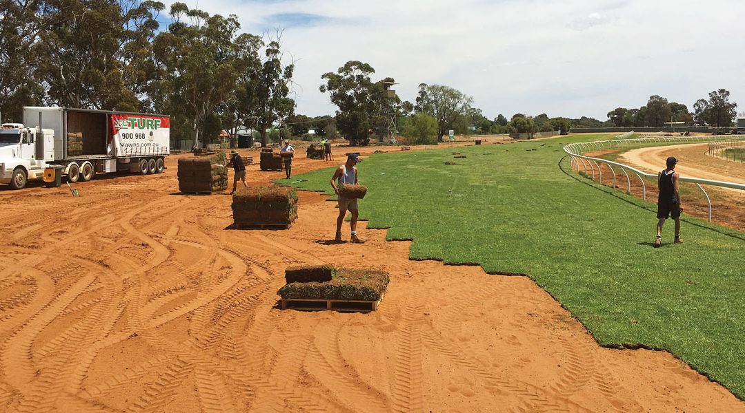 Eye for detail – distinguishes Advance Turf as market leaders