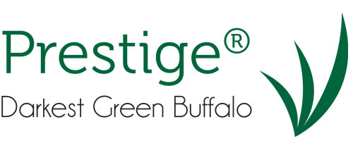 prestige darkest green buffalo logo prestige darkest green buffalo logo