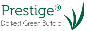 prestige dark green buffalo turf - turfbreed