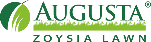 augusta zoysia lawn and grass - turfbreed