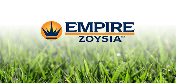 empire zoysia lawn