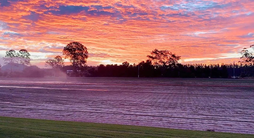 Why Wild Horse Turf is a cut above the rest