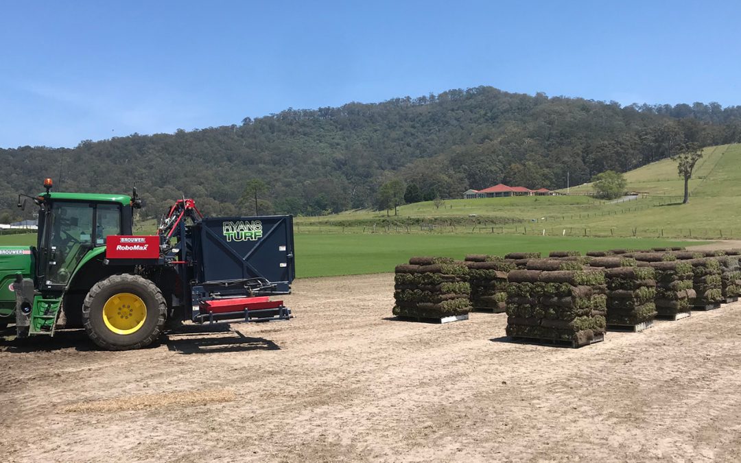 Generations of love crafts quality turf for a demanding market