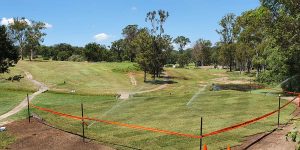 Nara Native Zoysia freshly laid at Pine River Golf Course