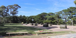 POPS Oval with Kenda Kikuyu