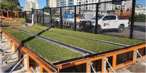 Parramatta Light Rail turf project NSW turf trial plots