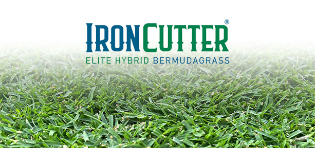 iron cutter hybrid bermuda grass logo